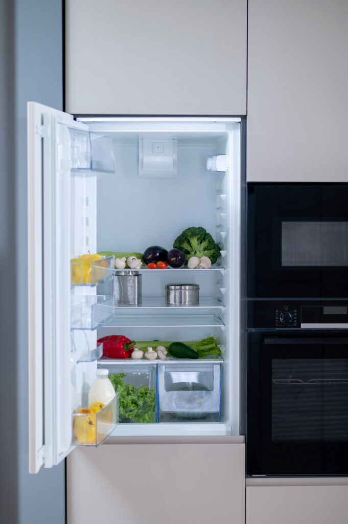 Importance of refrigerator in our daily lives